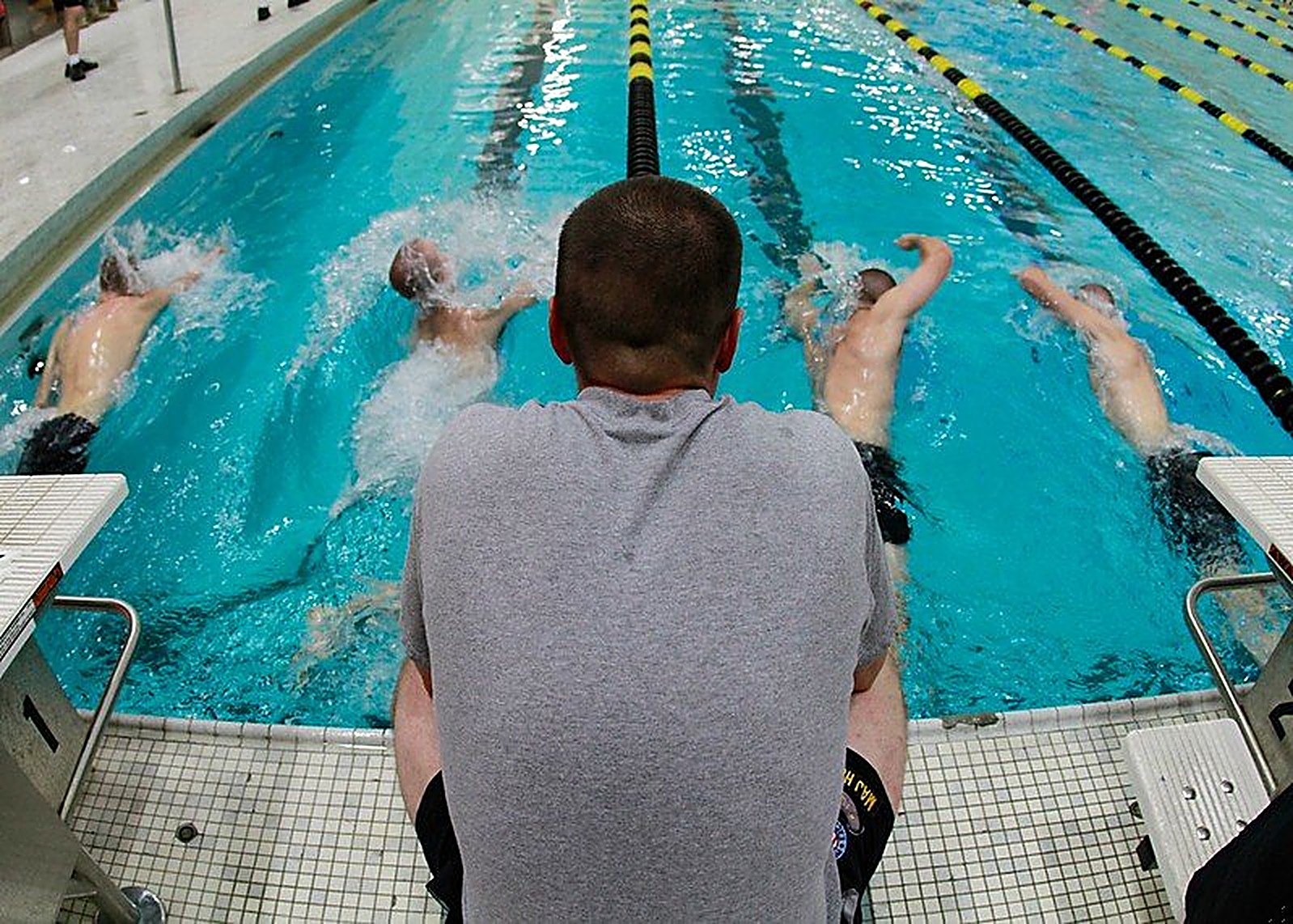Swimmer in a pool lane